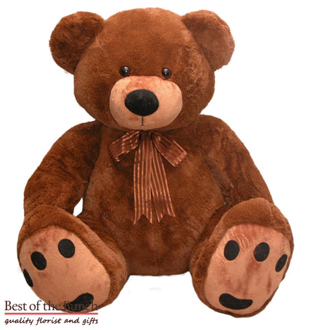 Classic Roly Teddy Bear - Large Size - Best of the Bunch Florist Wellington