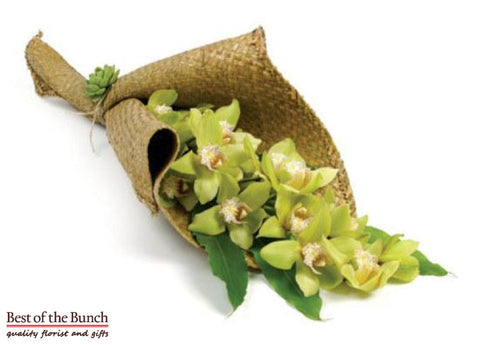 Cymbidium orchid delivery Wellington Cymbidium orchid delivered same day in Wellington & New Zealand wide order Cymbidium orchid flowers online. Cymbidium orchid gift ideas. Same day delivery of Cymbidium orchid Wellington.