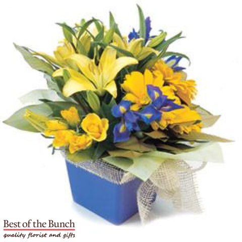 Flower Box Bouquet Wow - Best of the Bunch Florist Wellington