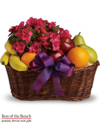 Gift Basket Fruit & Blooming Plant - Best of the Bunch Florist Wellington