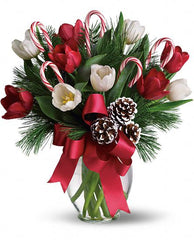 Christmas Flowers