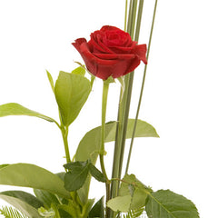 Gift Ideas For Romantic &amp; Roses