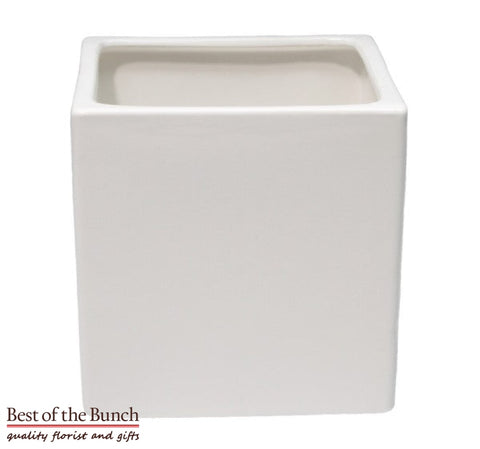 Classic Cube Ceramic Pot - Best of the Bunch Florist Wellington