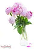 Flower Bouquet Peonies - Best of the Bunch Florist Wellington