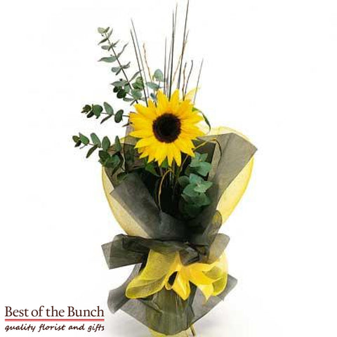 Flower Sunflower - Best of the Bunch Florist Wellington