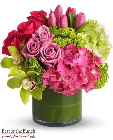 Flowers New Sensations - Best of the Bunch Florist Wellington