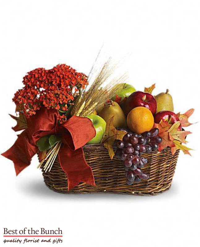 Gift Basket Potted Plant & Fruit - Best of the Bunch Florist Wellington