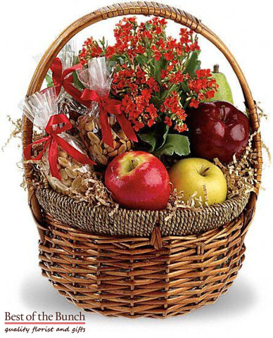 Gift Basket The Healthy Fruit & Nut with Potted Plant - Best of the Bunch Florist Wellington