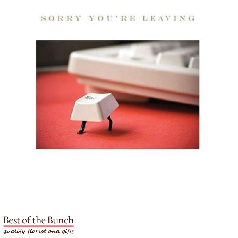 Sorry You're Leaving Greeting Card - Best of the Bunch Florist Wellington