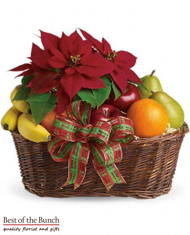 Christmas Gift Basket Fruit & Poinsettia Plant - Best of the Bunch Florist Wellington