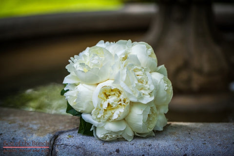 Wedding Bouquet Quartz - Compact Hand Tied Wedding Bouquet - Best of the Bunch Florist Wellington